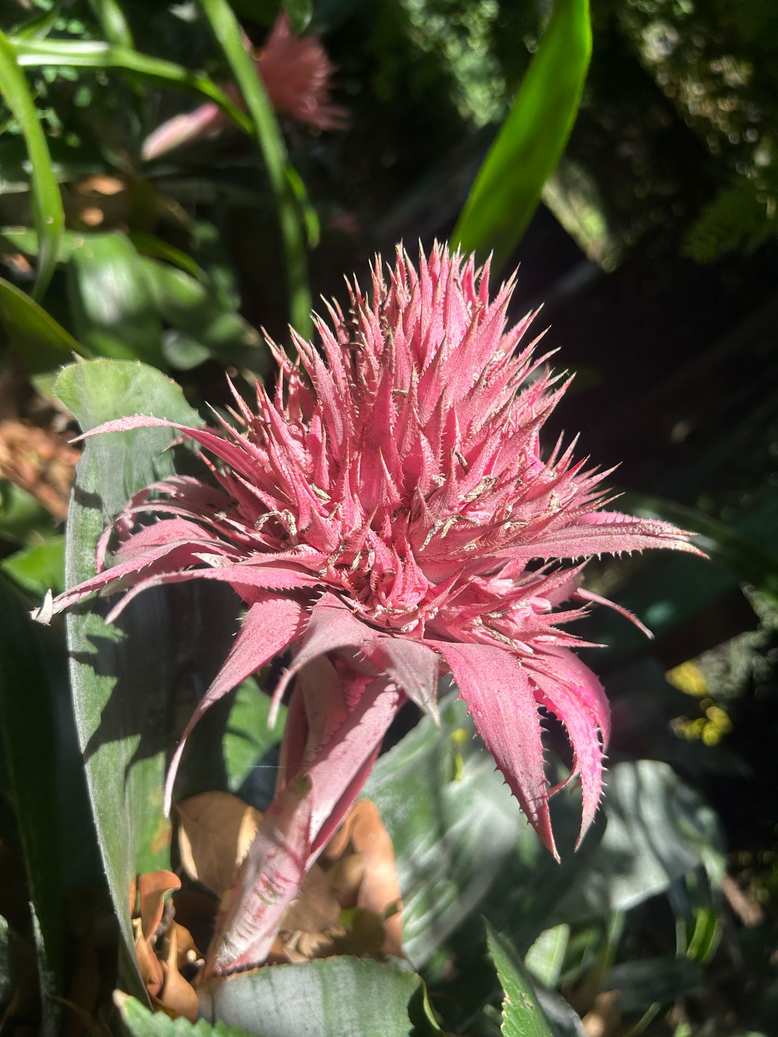 WhatsApp Image 2025-02-20 at 13.39.40_8a56f4f3